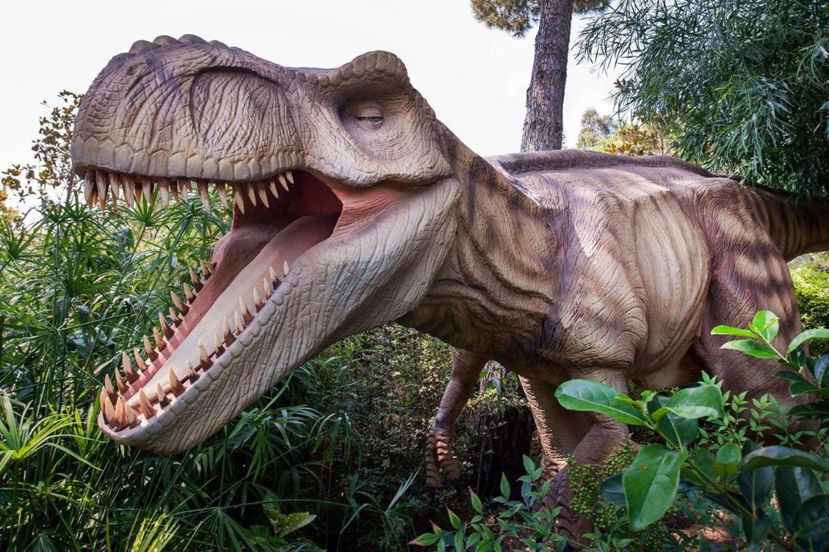 Maxx Royal Belek Golf Resort