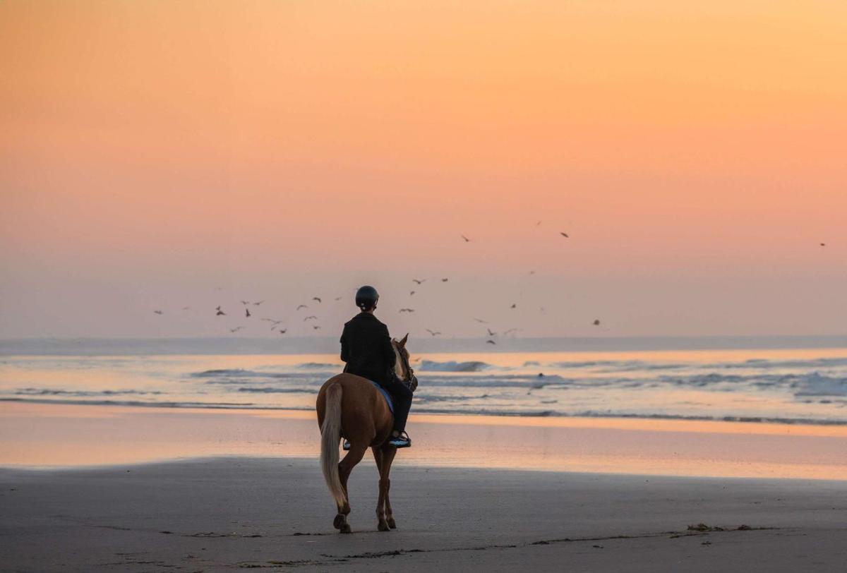 Mazagan Beach & Golf Resort