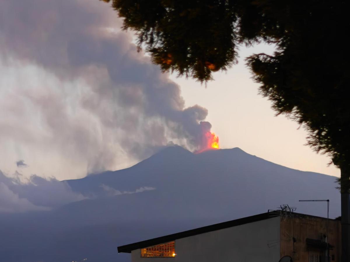 Médousa Bistrot & Suites