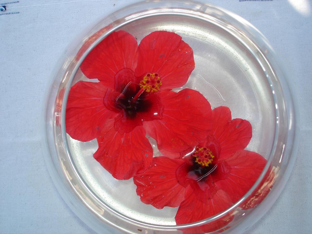 Mehmet Ali Ağa Konağı - Kocaev