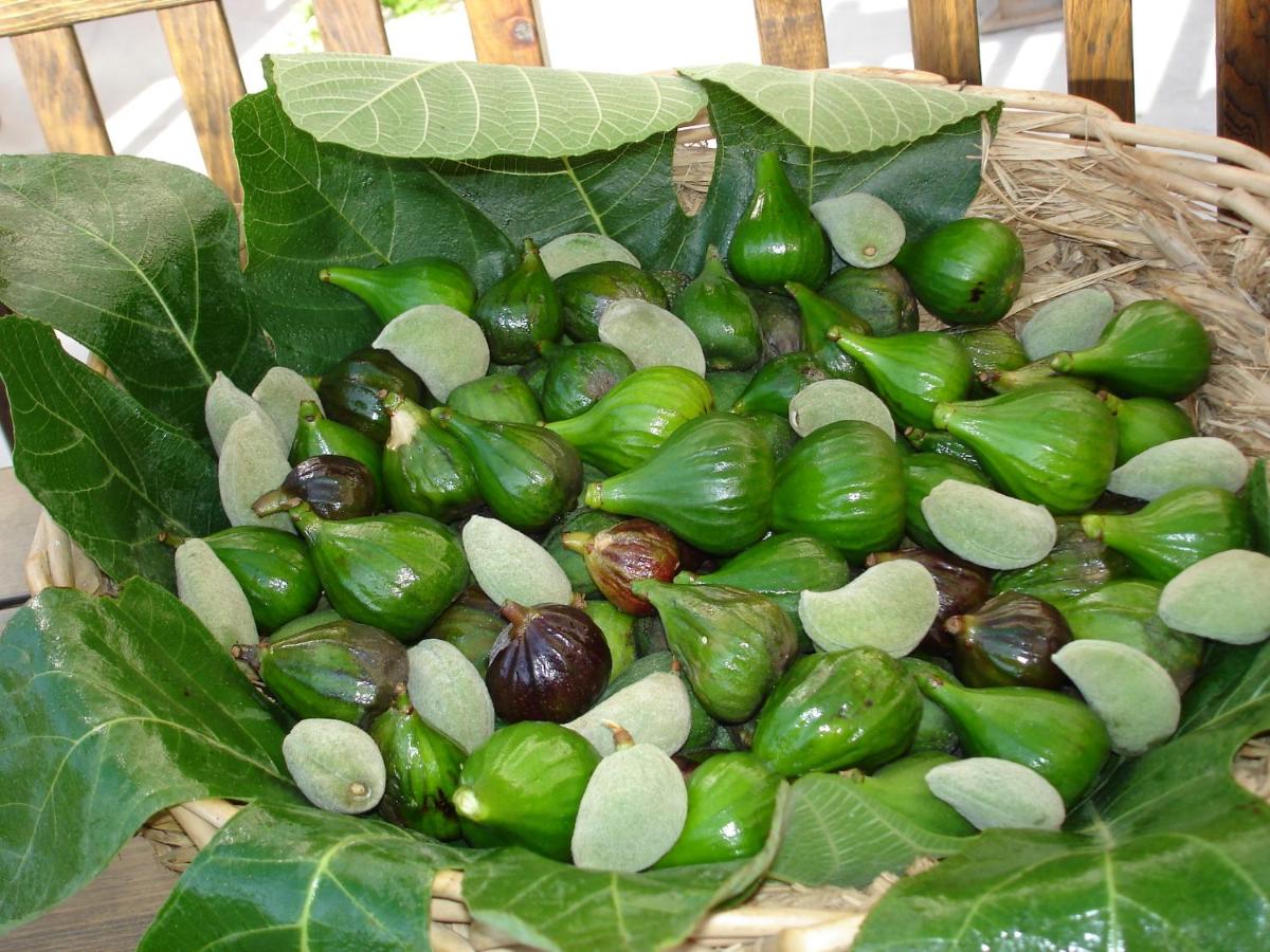 Mehmet Ali Ağa Konağı - Kocaev