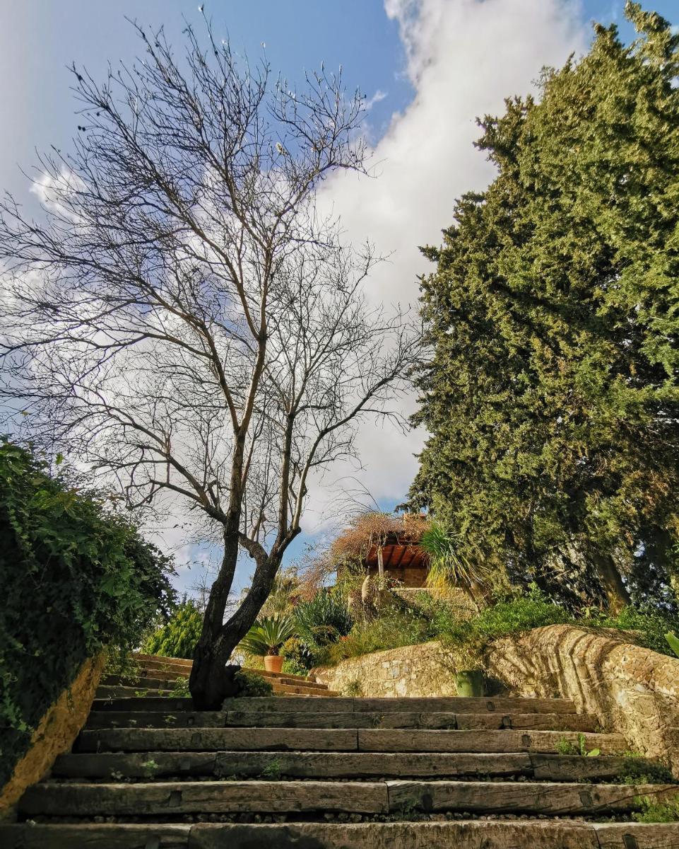 Mehmet Ali Ağa Konağı - Kocaev