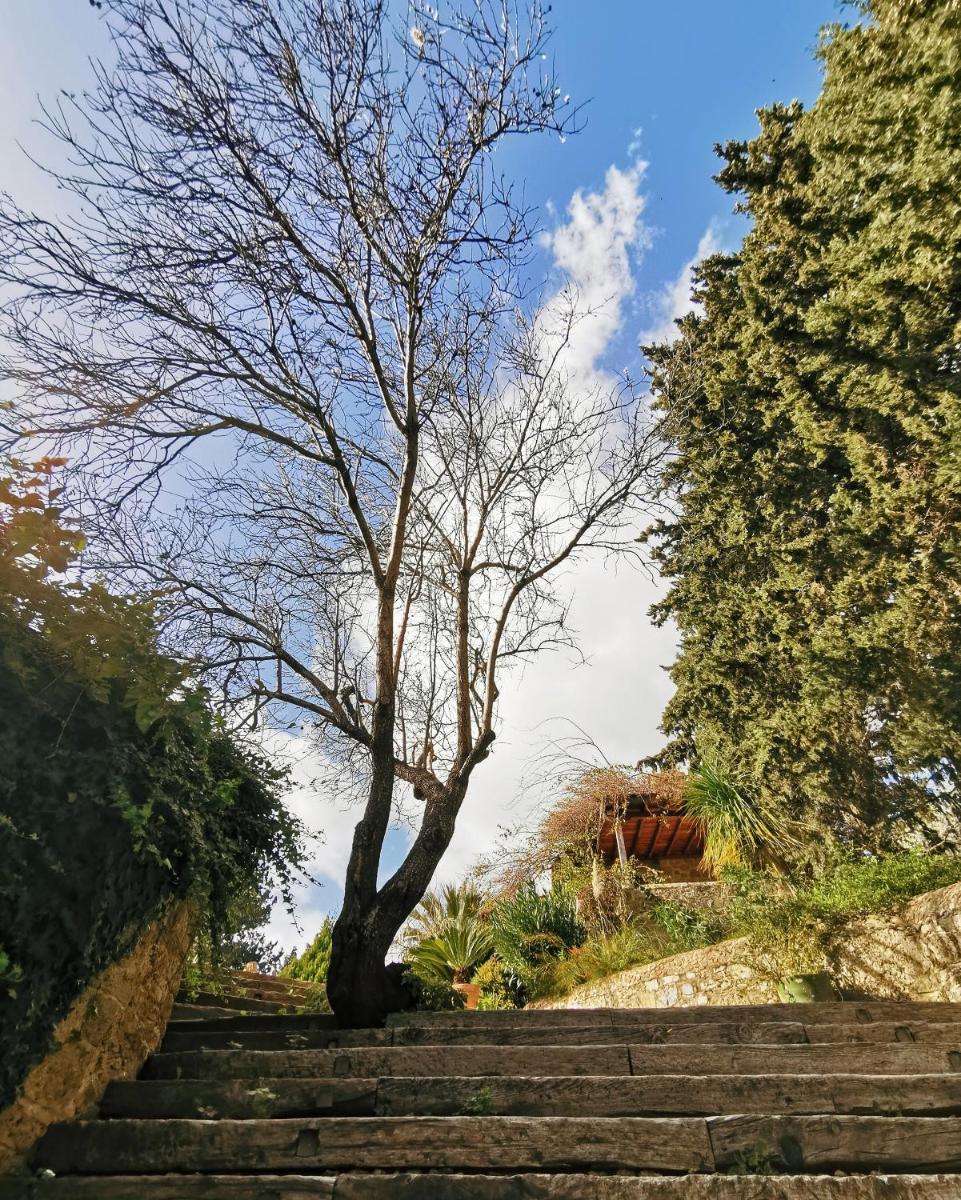 Mehmet Ali Ağa Konağı - Kocaev