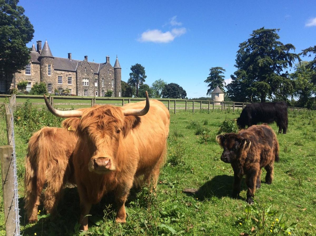 Meldrum House Hotel Golf And Country Estate