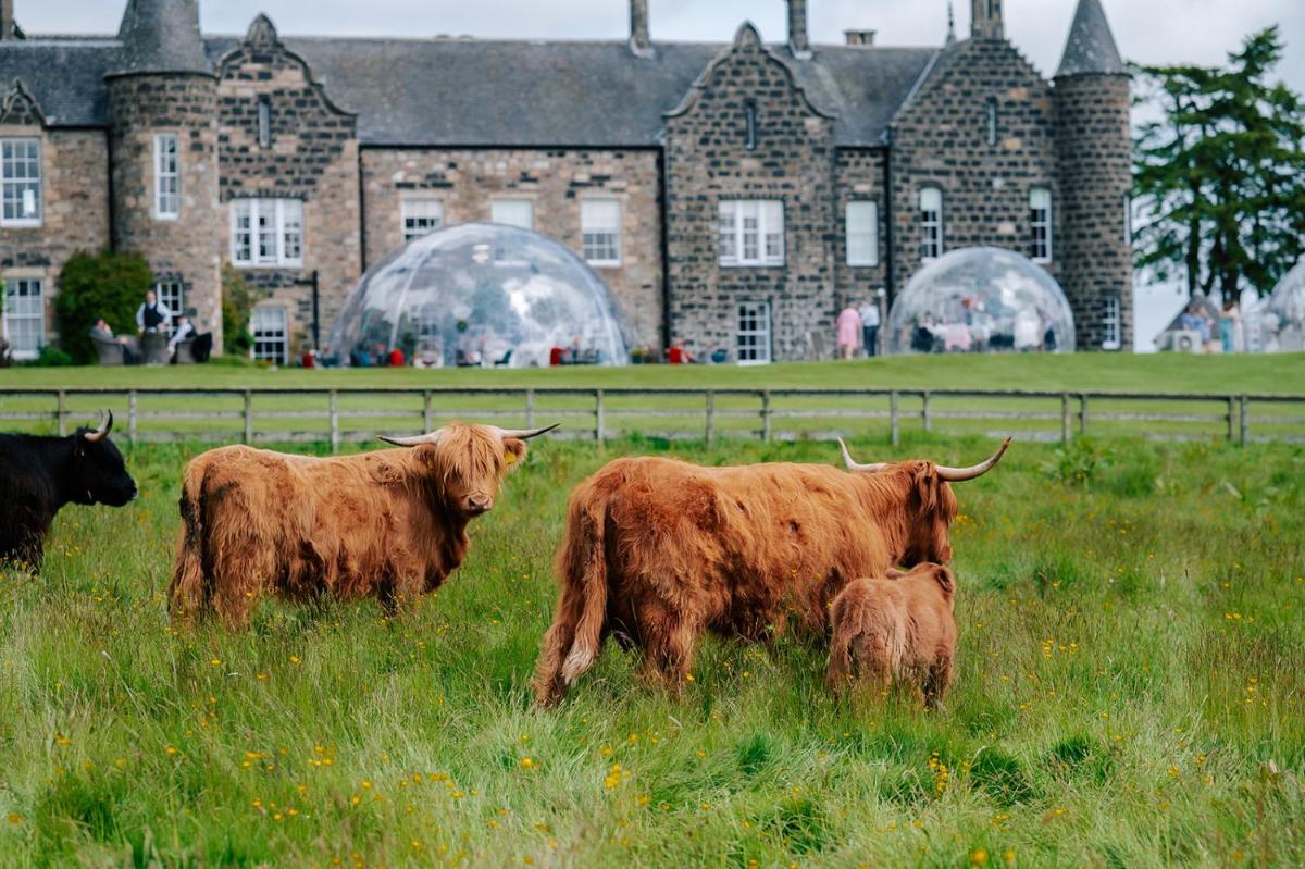 Meldrum House Hotel Golf And Country Estate