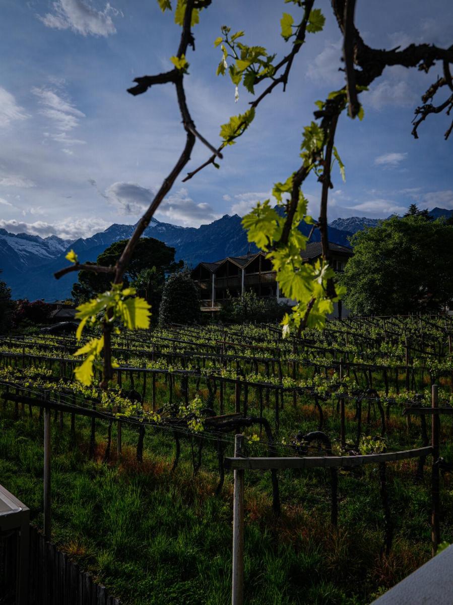 Merangardenvilla adults only