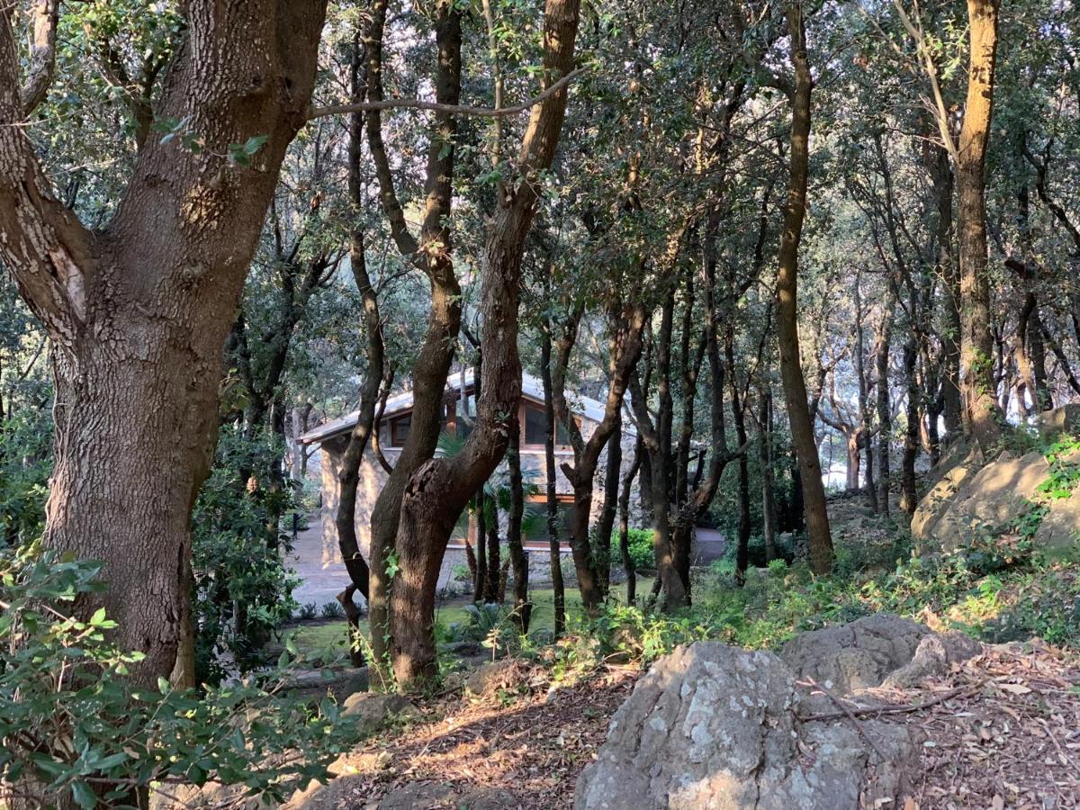 Mezzatorre Hotel & Thermal Spa