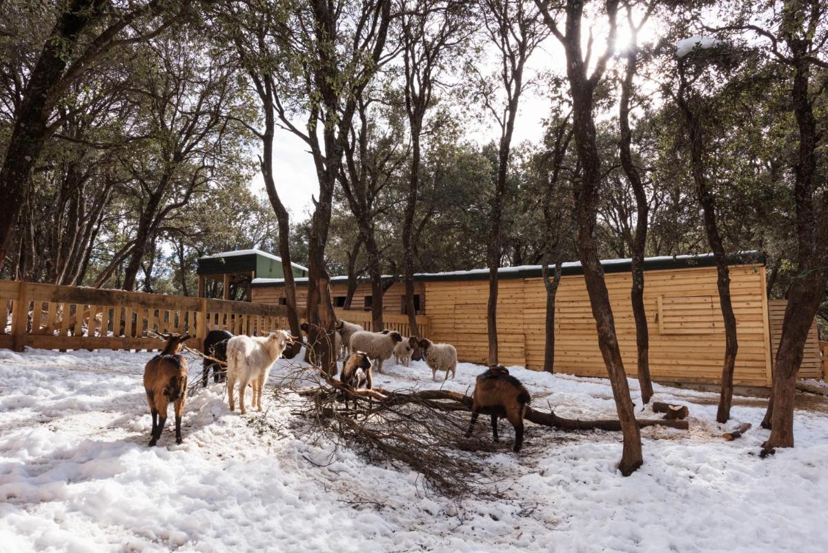 Michlifen Resort & Golf