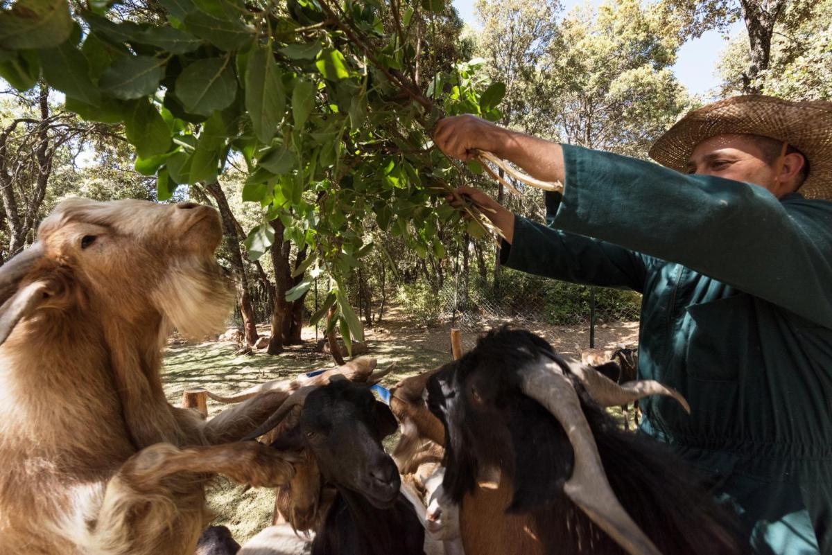 Michlifen Resort & Golf