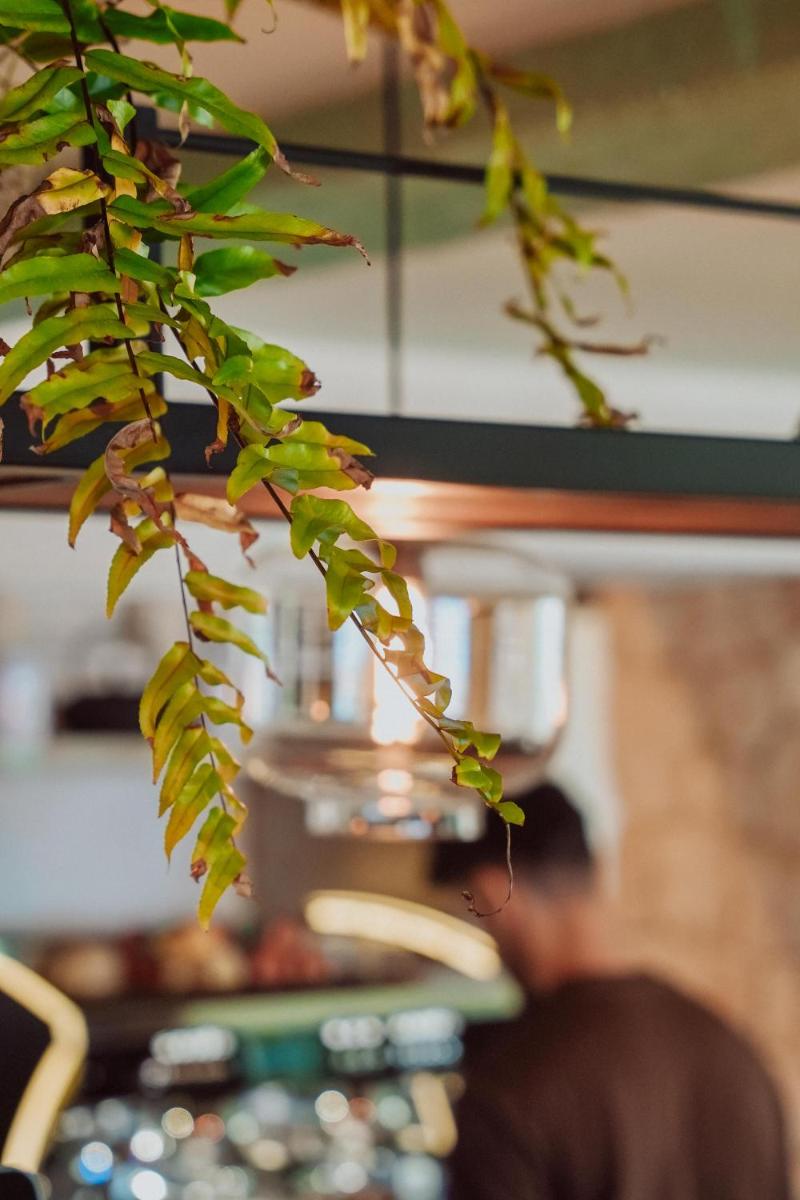 Mikasa Ibiza Boutique Hotel ADULTS ONLY