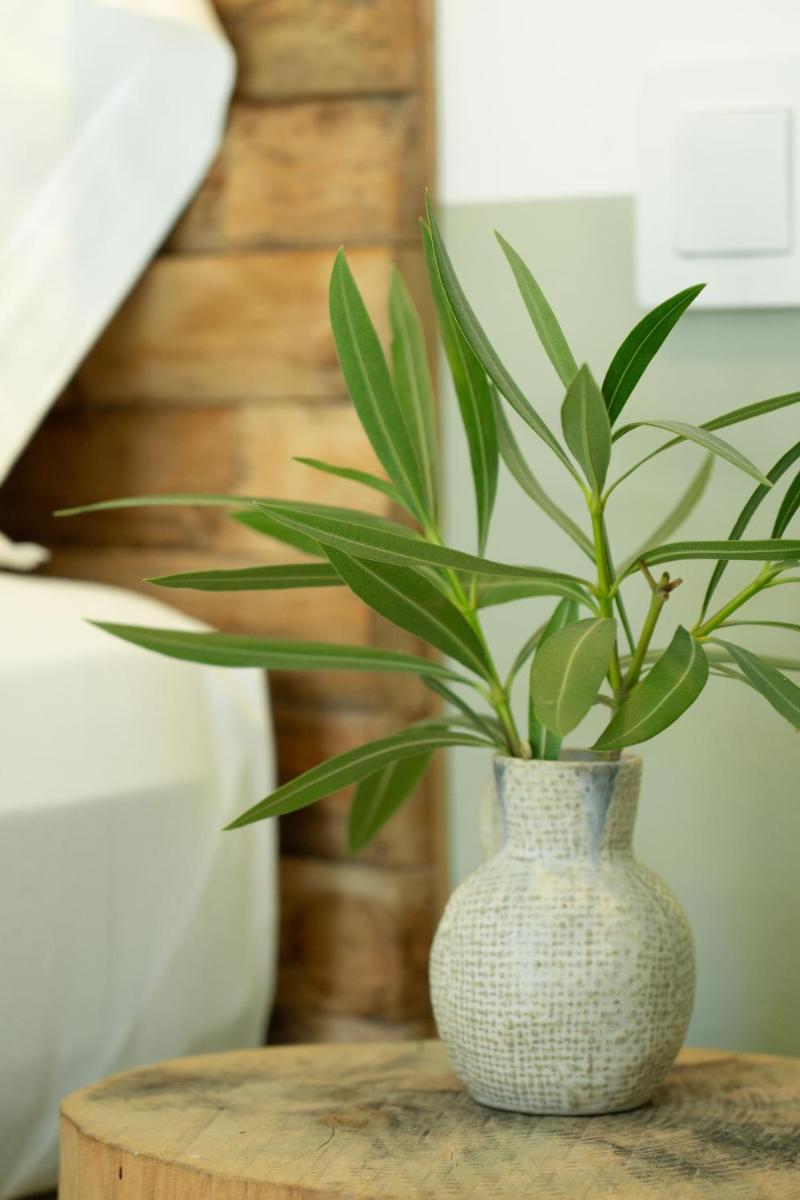 Mikasa Ibiza Boutique Hotel ADULTS ONLY