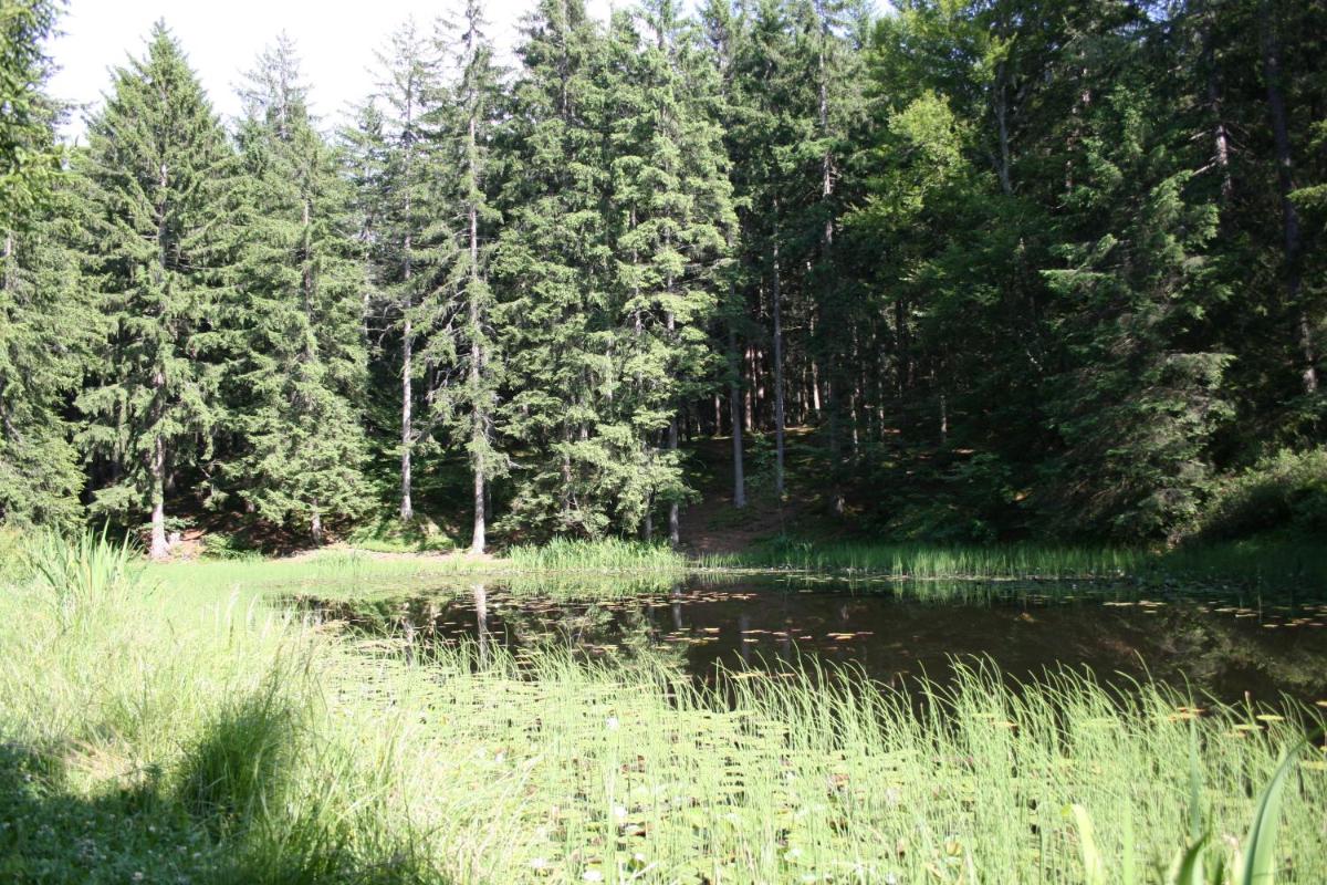 Miramonti Boutique Hotel