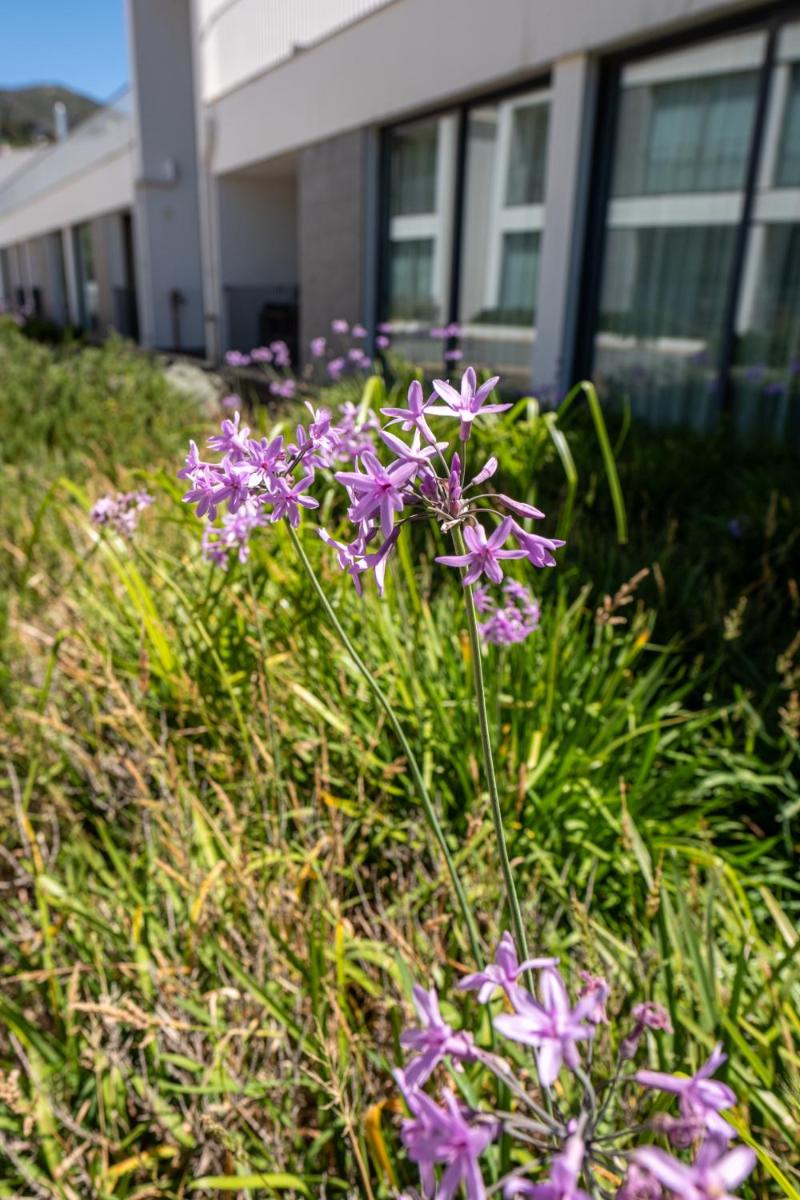 Monchique Resort & Spa