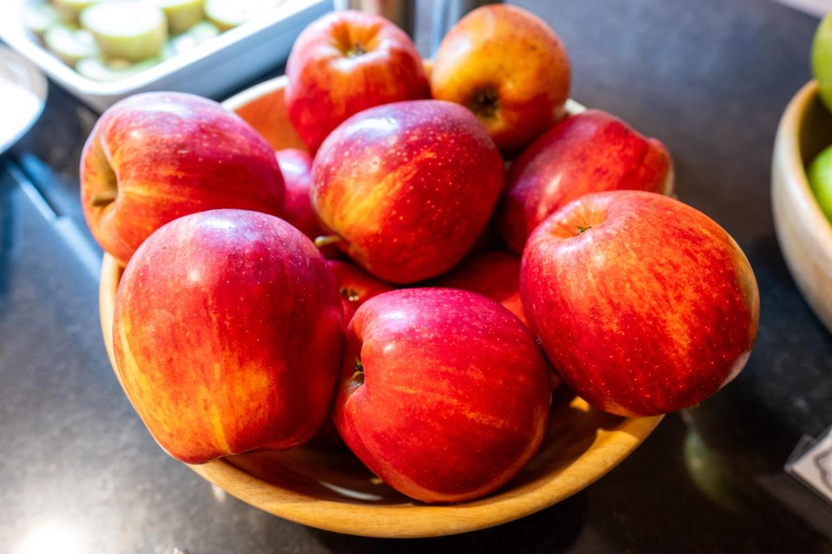 Monchique Resort & Spa