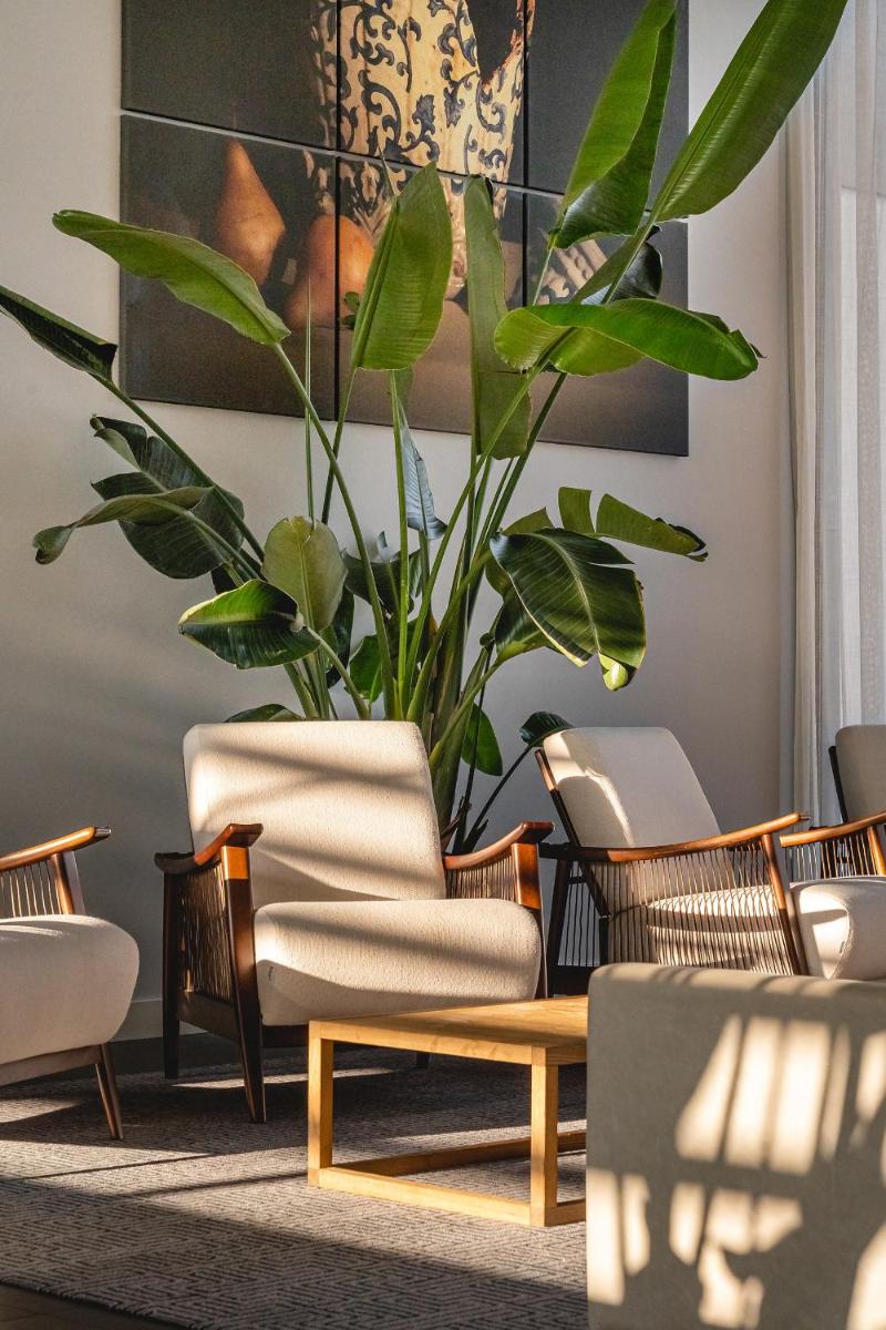 Monchique Resort & Spa