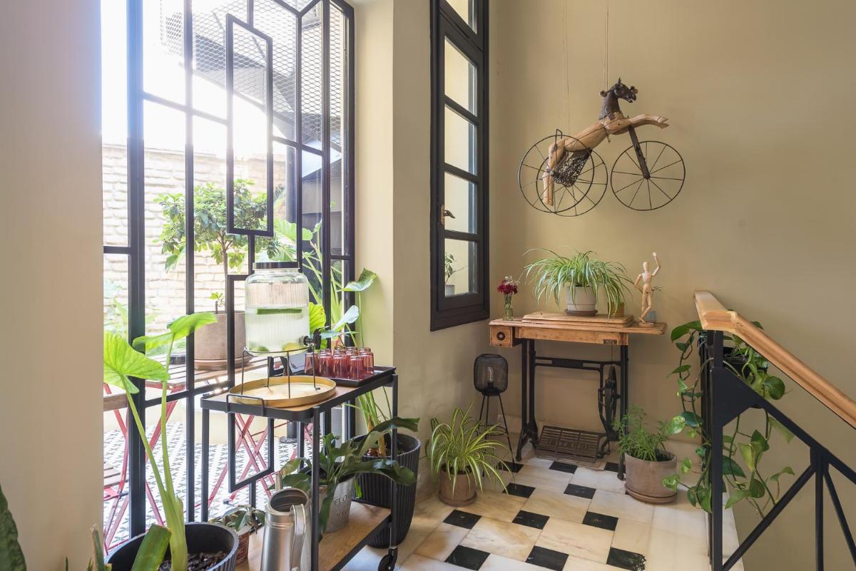 Moon And Stars Athens