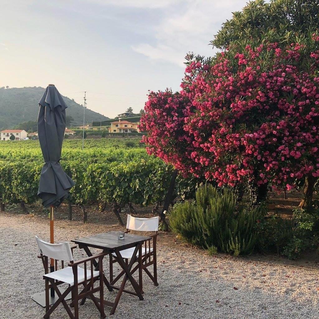 Morgadio da Calcada Douro Wine&Tourism