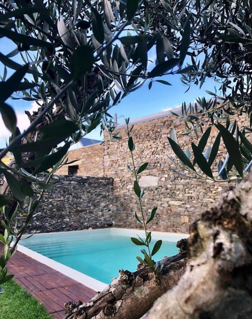 Morgadio da Calcada Douro Wine&Tourism