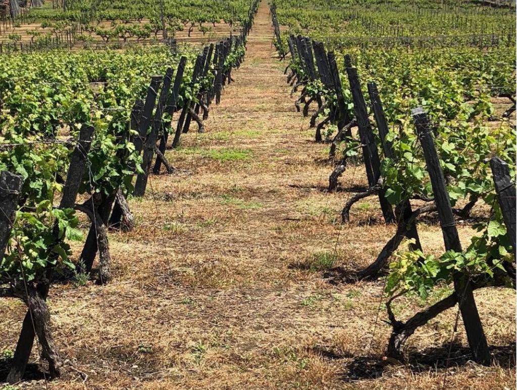 Morgadio da Calcada Douro Wine&Tourism