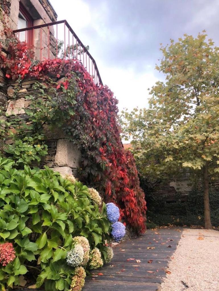 Morgadio da Calcada Douro Wine&Tourism