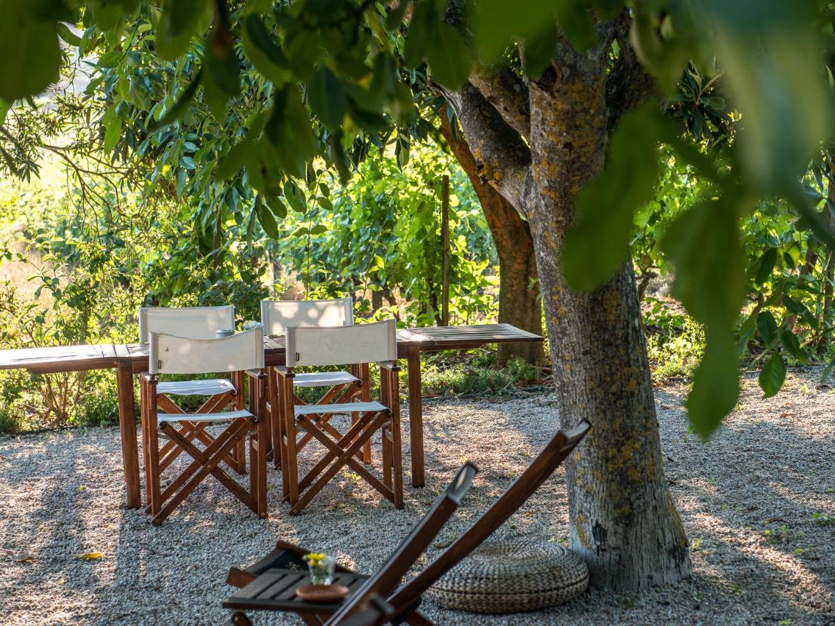 Morgadio da Calcada Douro Wine&Tourism