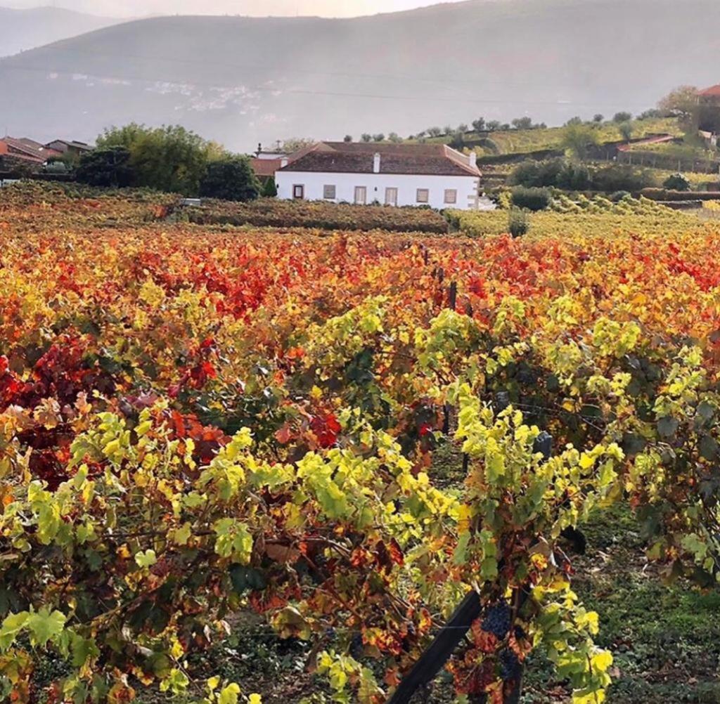 Morgadio da Calcada Douro Wine&Tourism