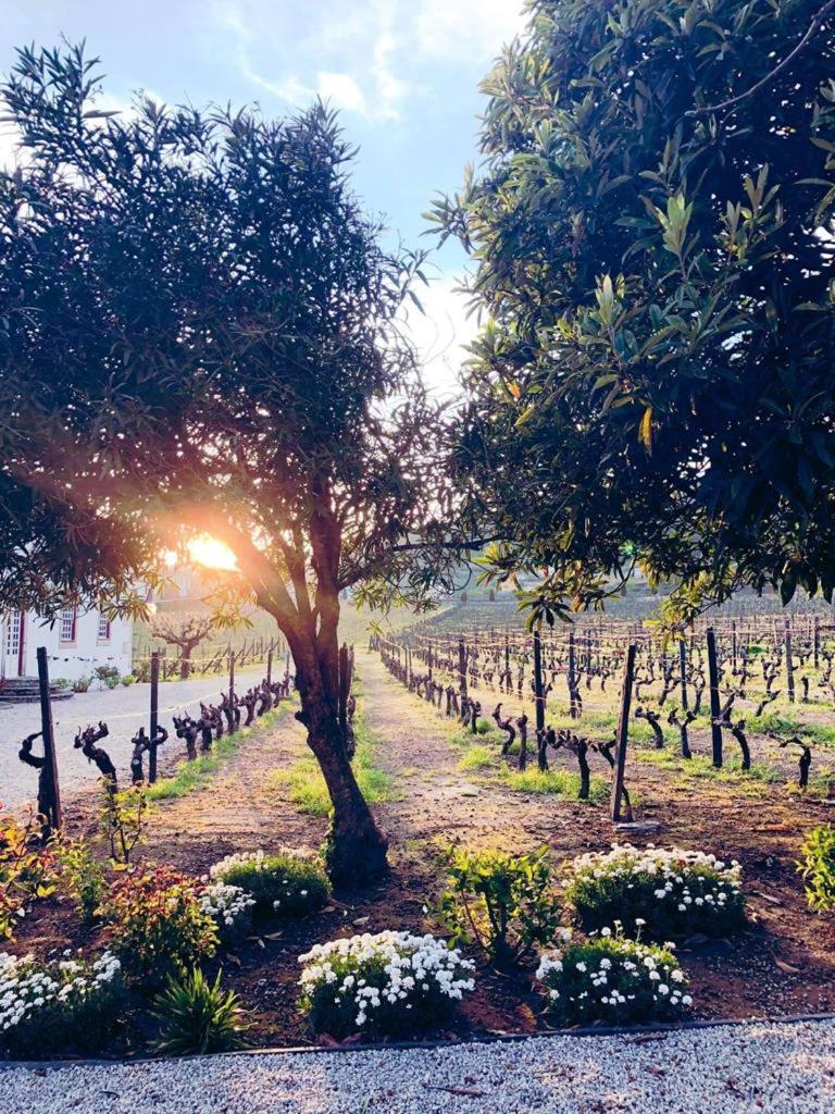 Morgadio da Calcada Douro Wine&Tourism
