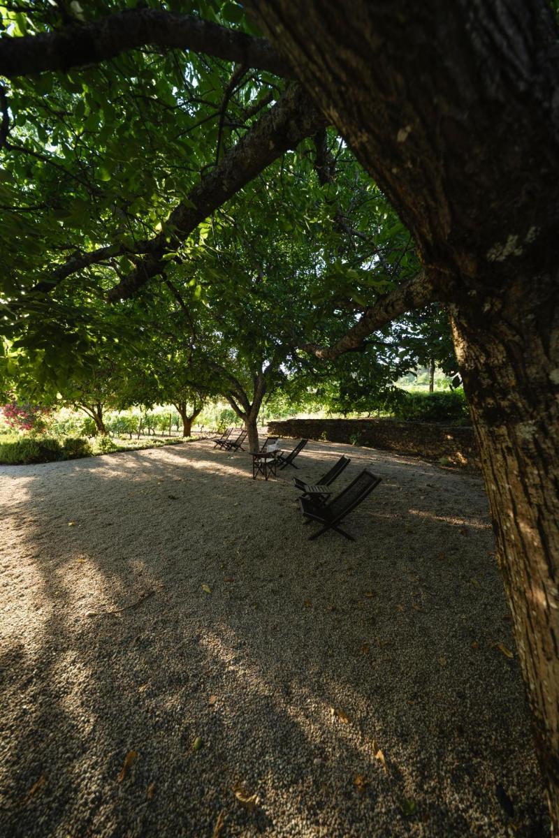 Morgadio da Calcada Douro Wine&Tourism