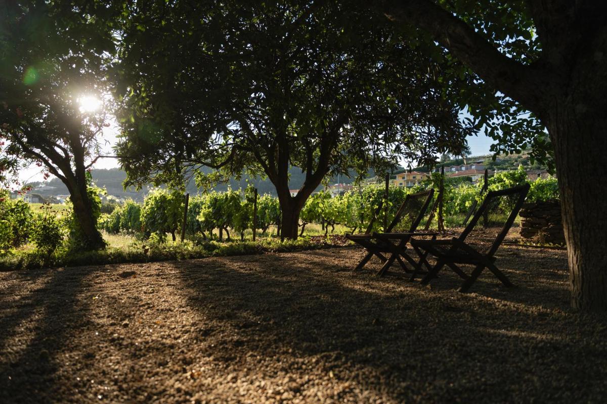 Morgadio da Calcada Douro Wine&Tourism