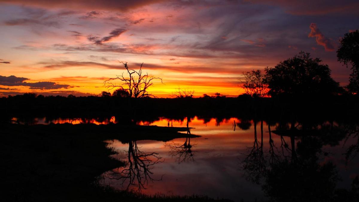 Motswari Private Game Reserve by NEWMARK