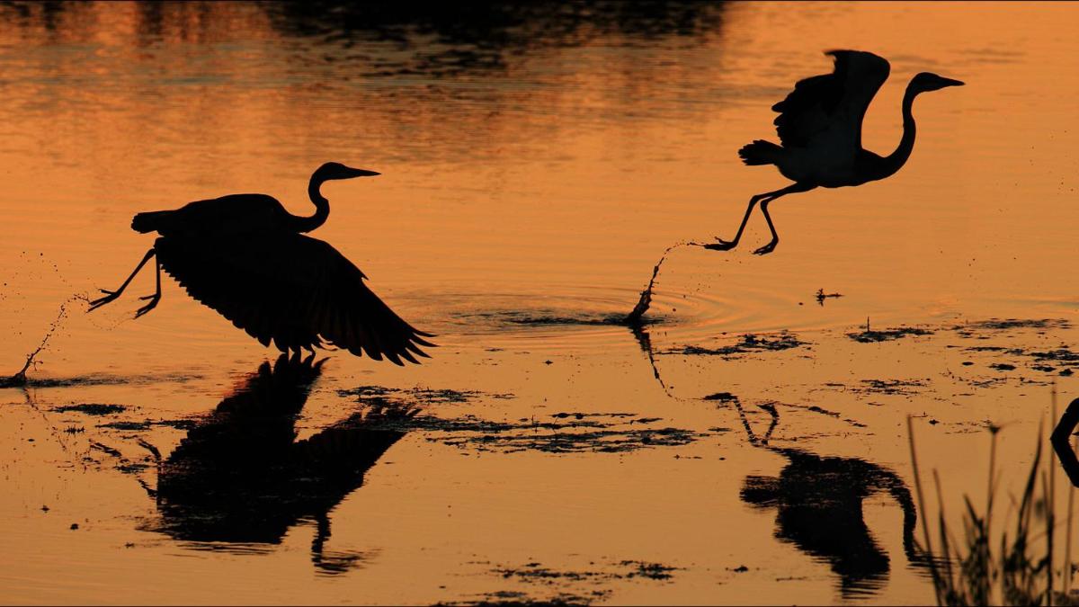 Motswari Private Game Reserve by NEWMARK