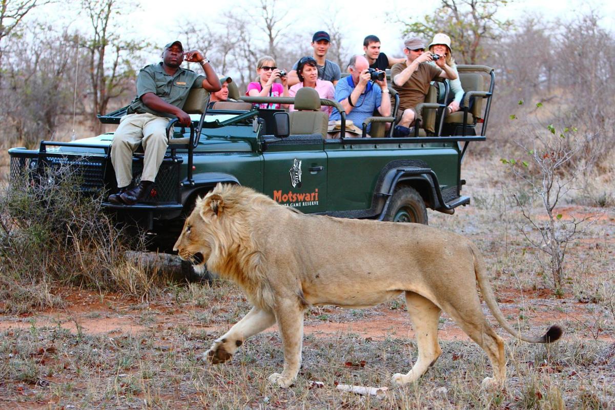 Motswari Private Game Reserve by NEWMARK