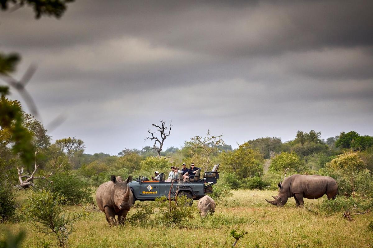 Motswari Private Game Reserve by NEWMARK