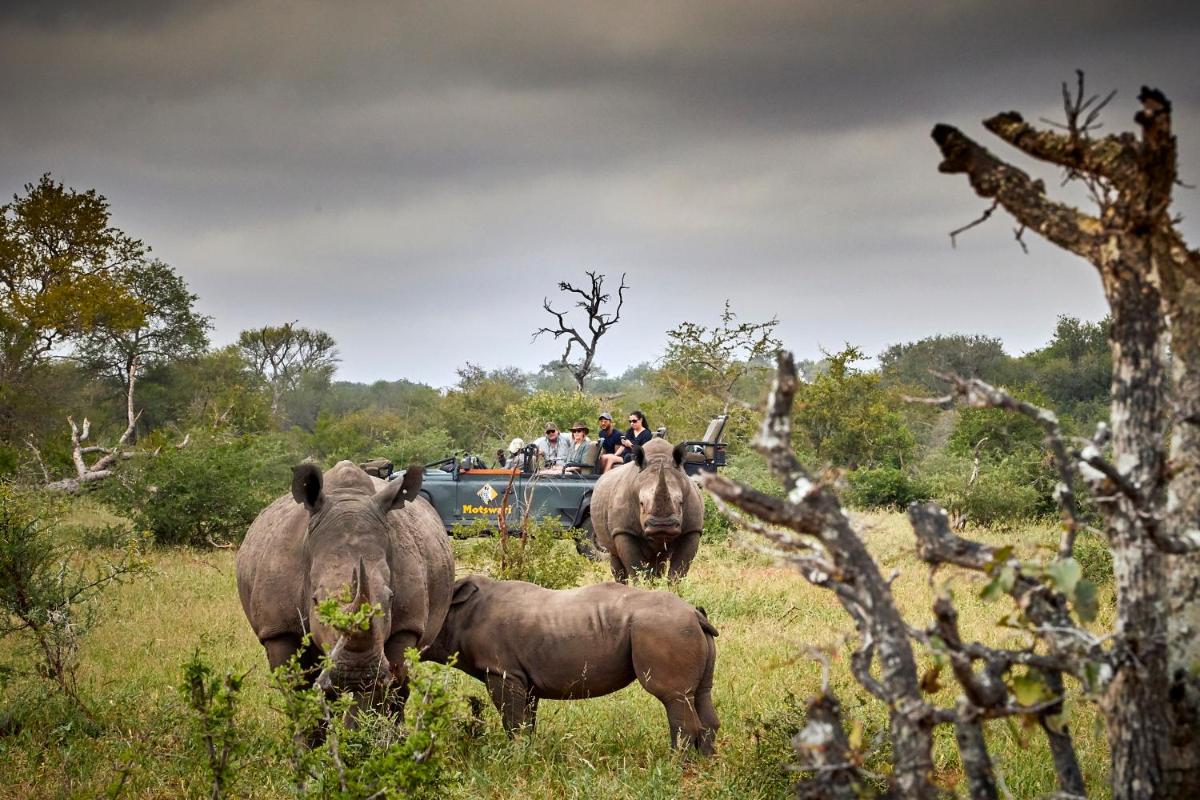 Motswari Private Game Reserve by NEWMARK