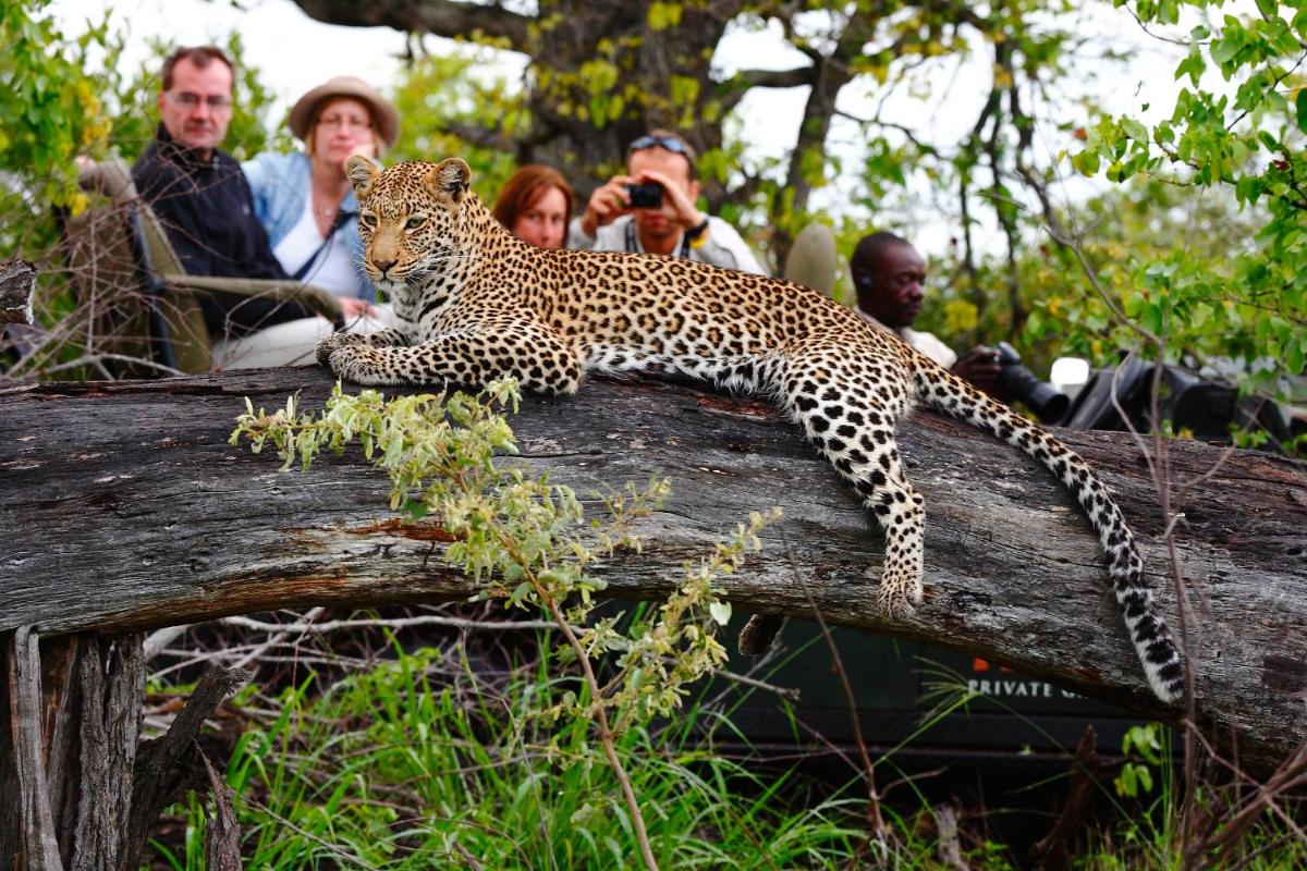 Motswari Private Game Reserve by NEWMARK