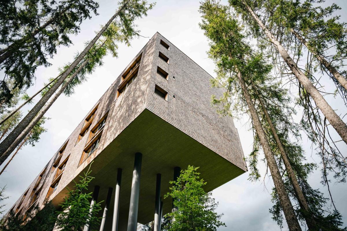 My Arbor - Dolomites