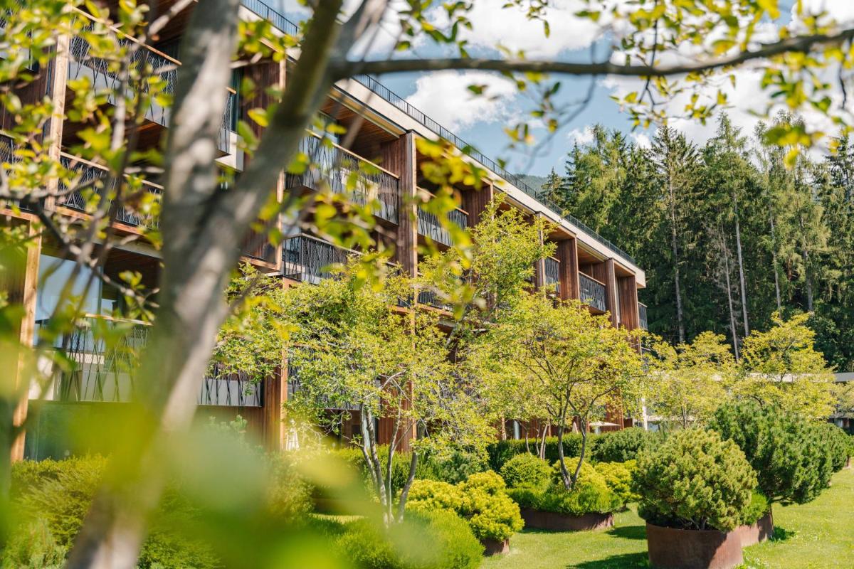 My Arbor - Dolomites