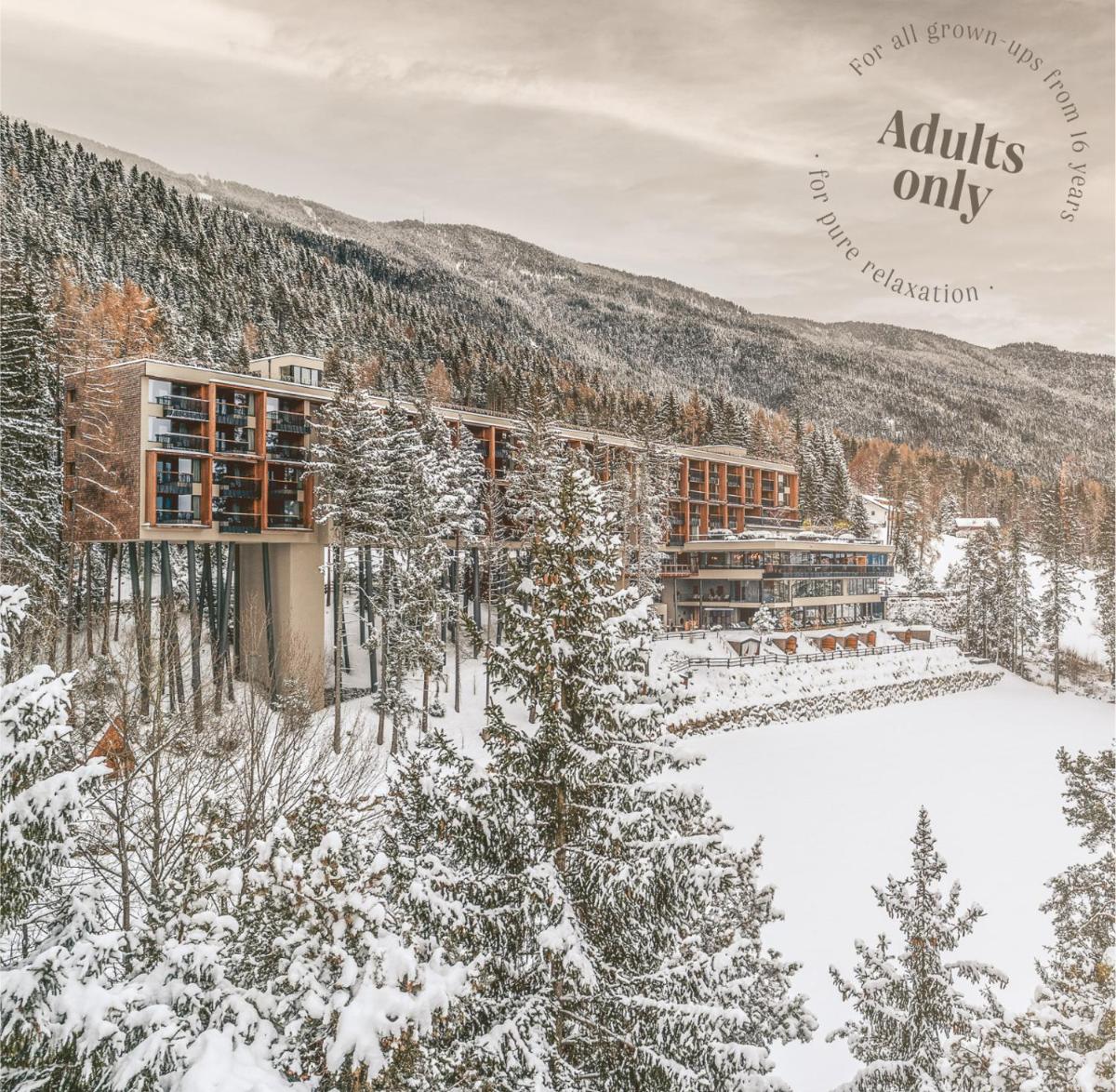 My Arbor - Dolomites