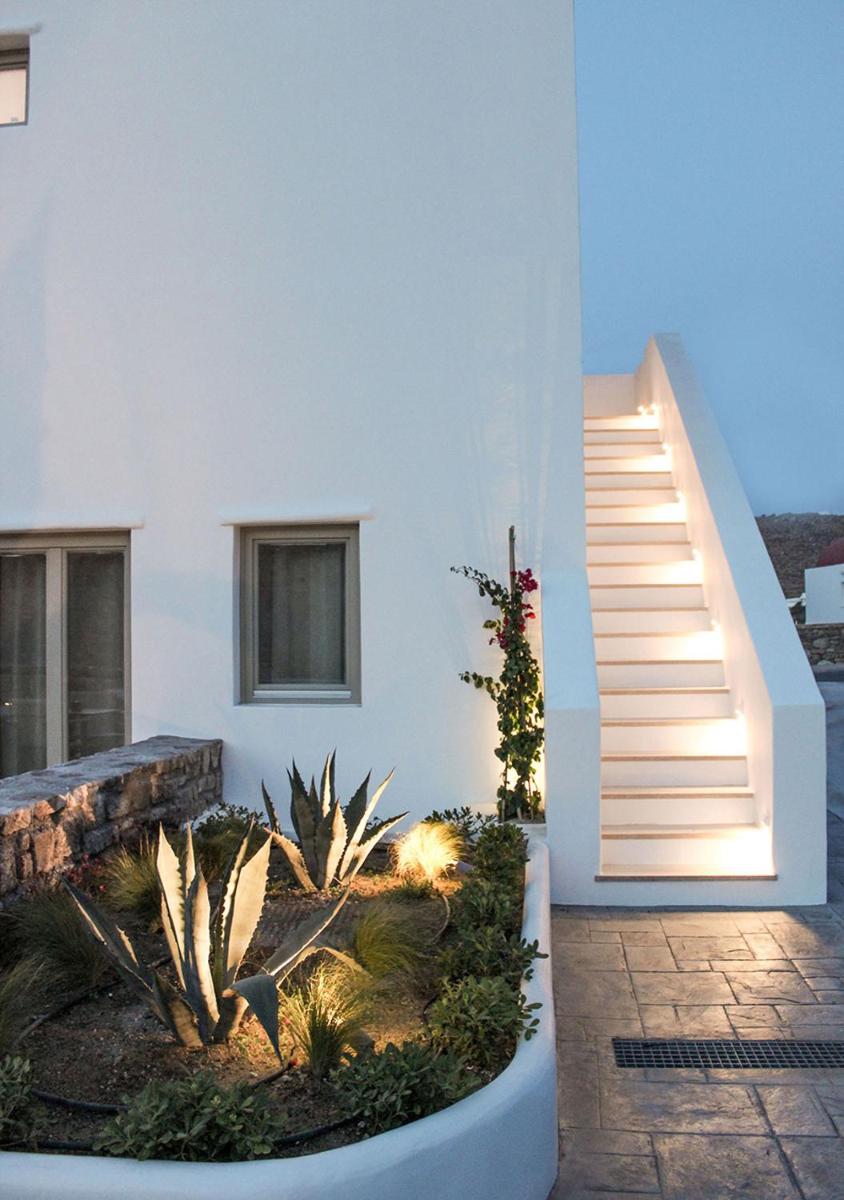 Mykonos Cactus