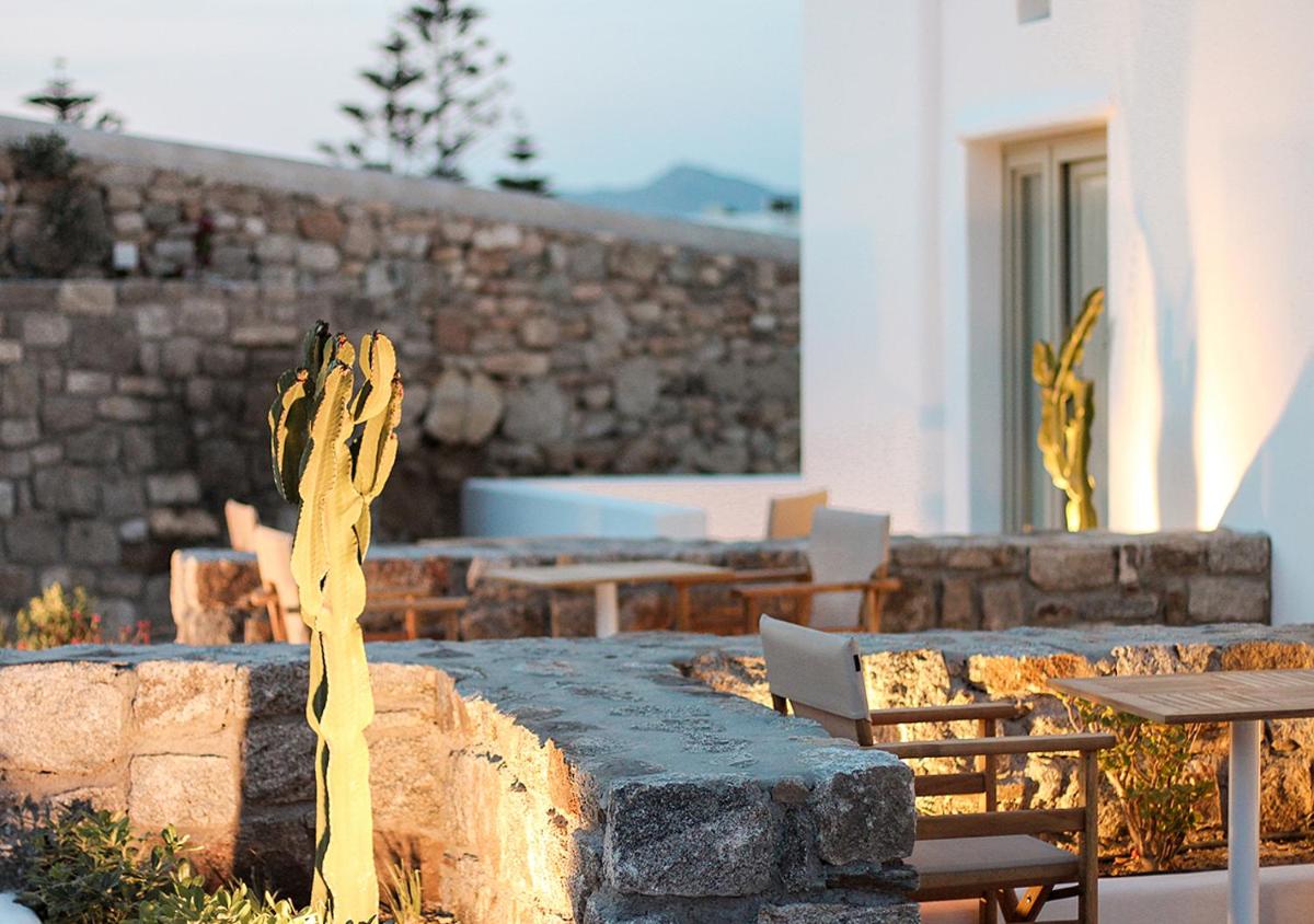 Mykonos Cactus