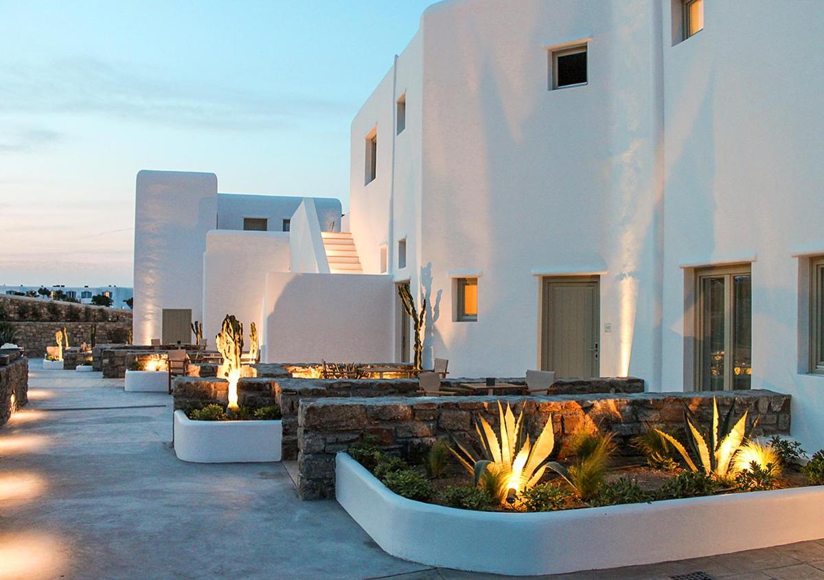 Mykonos Cactus