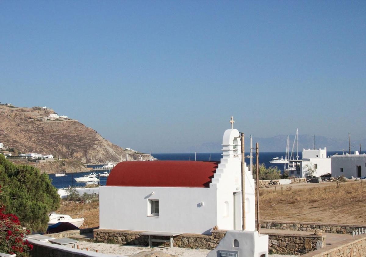 Mykonos Cactus