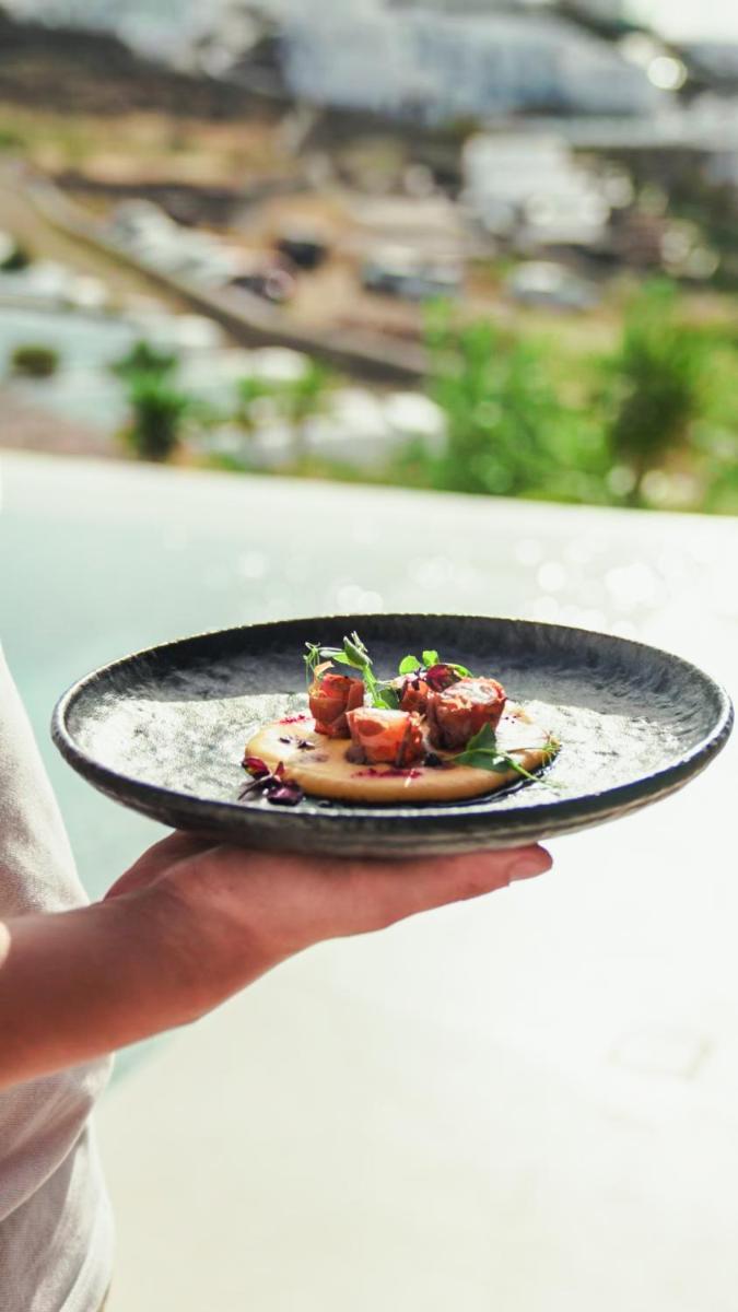 Mykonos Earth Suites