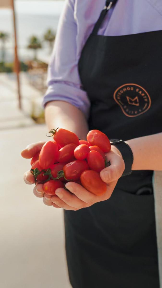 Mykonos Earth Suites