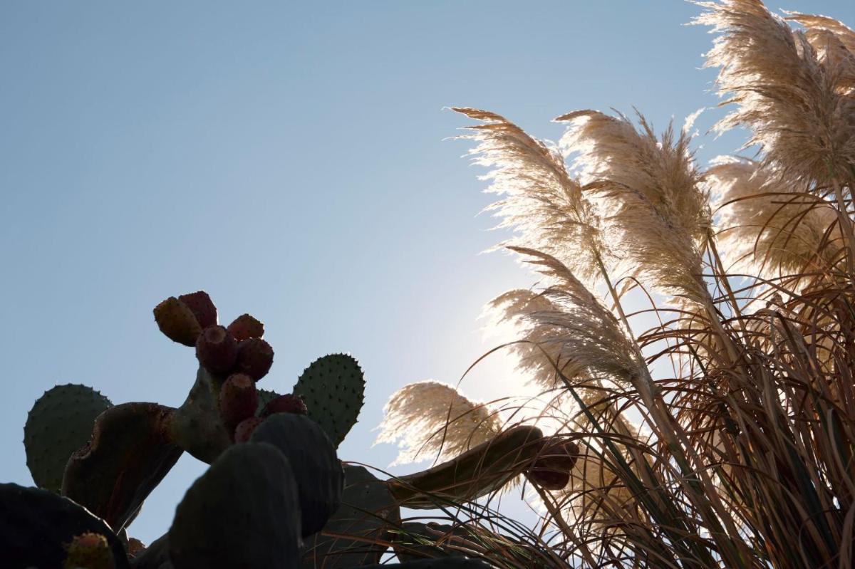 Mykonos Earth Suites