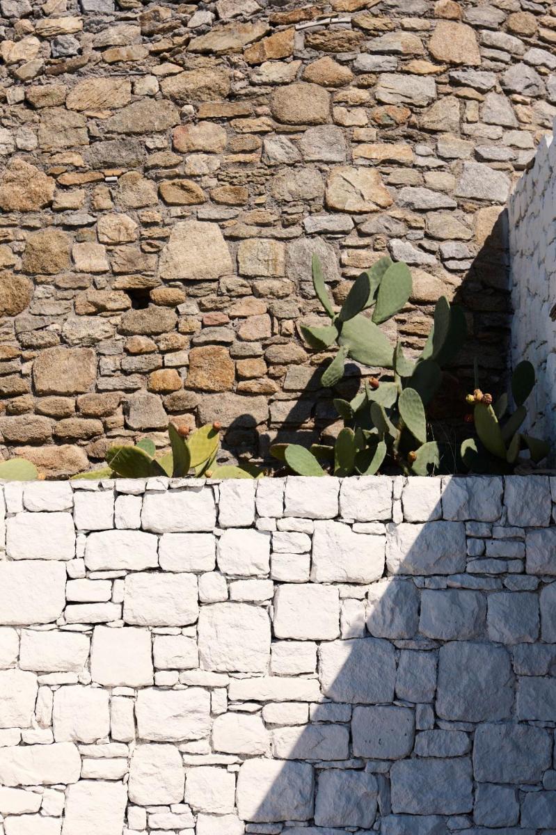 Mykonos Earth Suites