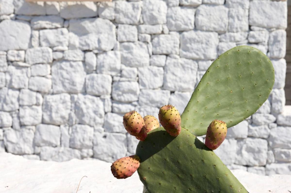 Mykonos Earth Suites