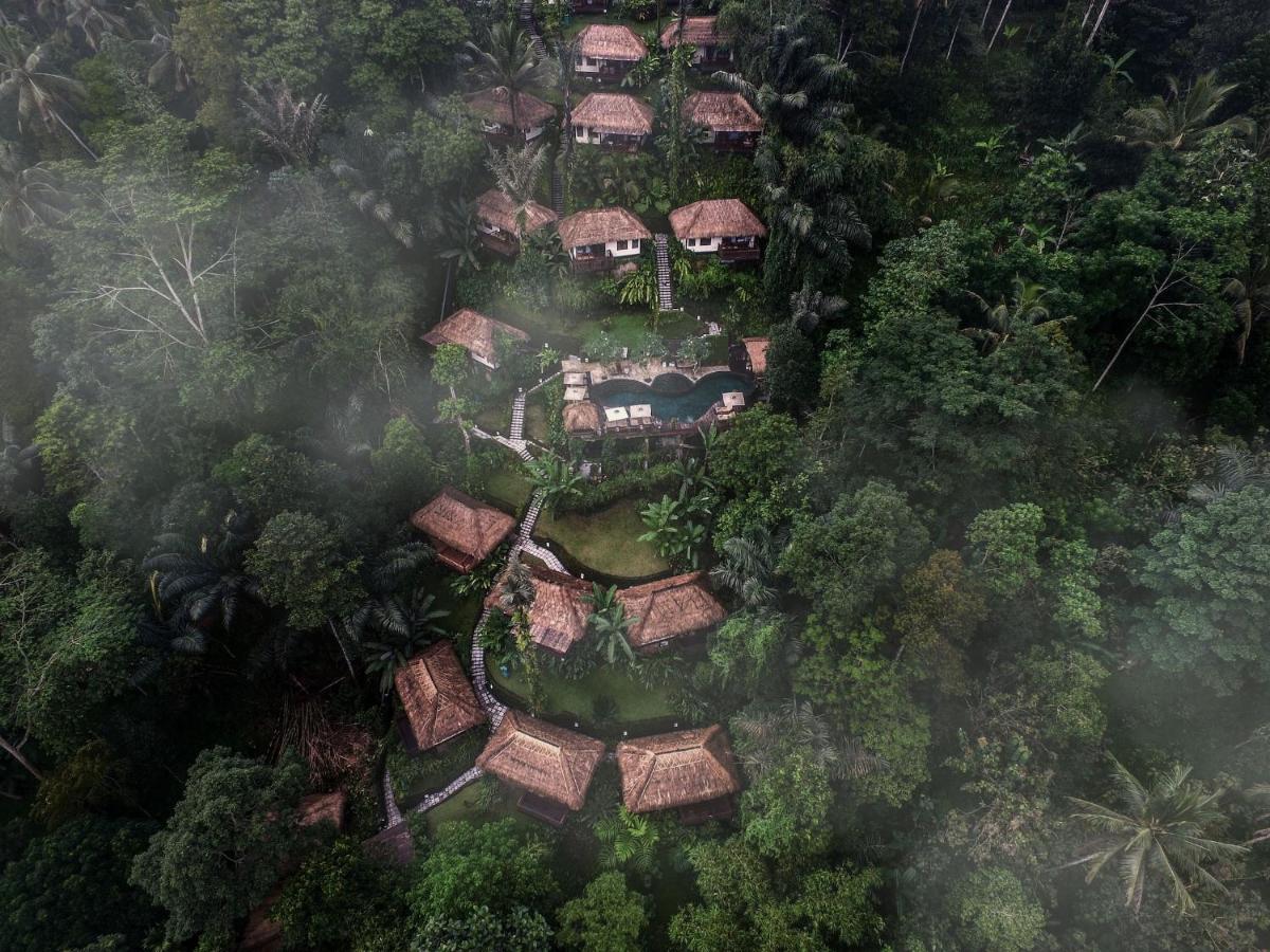 Nandini Jungle by Hanging Gardens