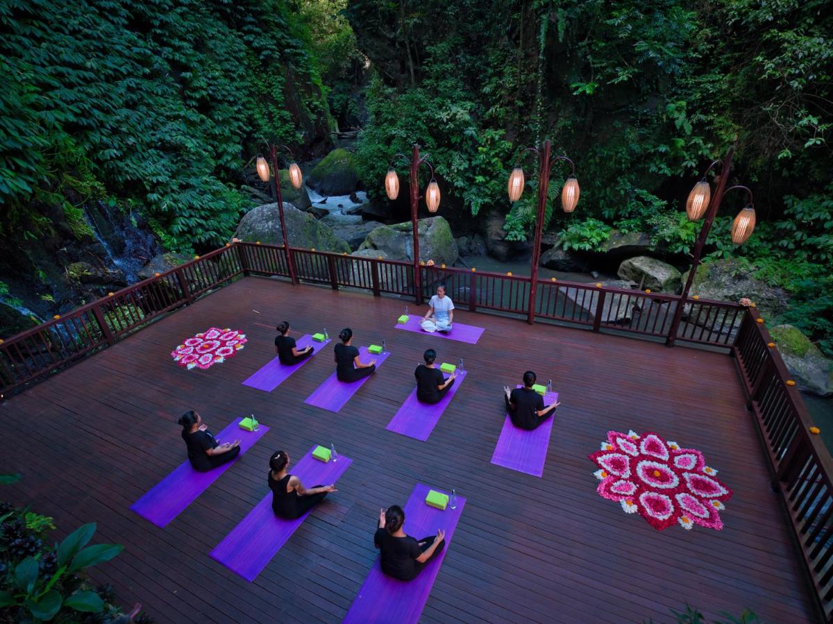 Nandini Jungle by Hanging Gardens