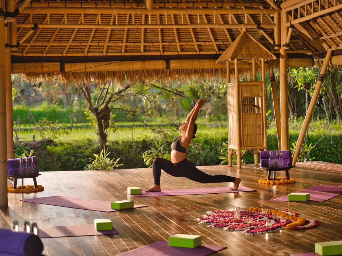 Nandini Jungle by Hanging Gardens